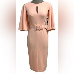 Calvin Klein Elegant Nectar Flutter Sleeve Sheath Dress Size 2